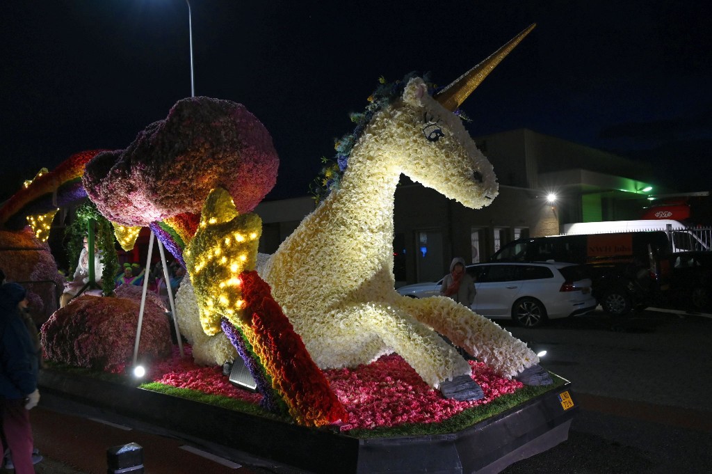 ../Images/Verlicht bloemencorso 2024 118.jpg